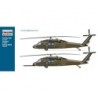 1328 - Uh-60/Mh-60 Black Hawk Night Raid C