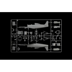 2519 - Macchi MC.205 “Veltro”