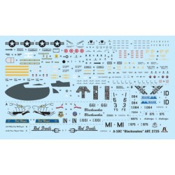 2725 - A-10C Blacksnakes