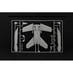 2823 - F/A - 18F Hornet