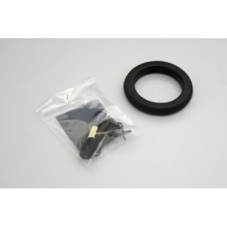 404 - Telegraph Poles