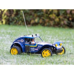 58470 - Holiday Buggy (2010) Dt-02