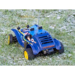 58470 - Holiday Buggy (2010) Dt-02