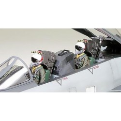 60313 - F-14A Tomcat Black Knights