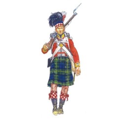 6136 - Scottish Infantry Napoleonic Wars