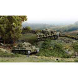 7505 - Pz.Kpfw.VI Tiger I Ausf E. (with 2 Models)   C