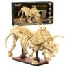 C59013W - Dinosaur Fossils: Triceratops - 272 pcs