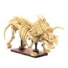 C59013W - Dinosaur Fossils: Triceratops - 272 pcs