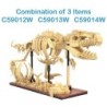 C59014W - Dinosaur Fossils: Velociraptor - 256 pcs