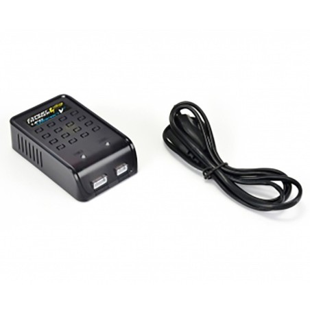 C606063 - Expertcharger Lipo Compact/V2 Plug Char.
