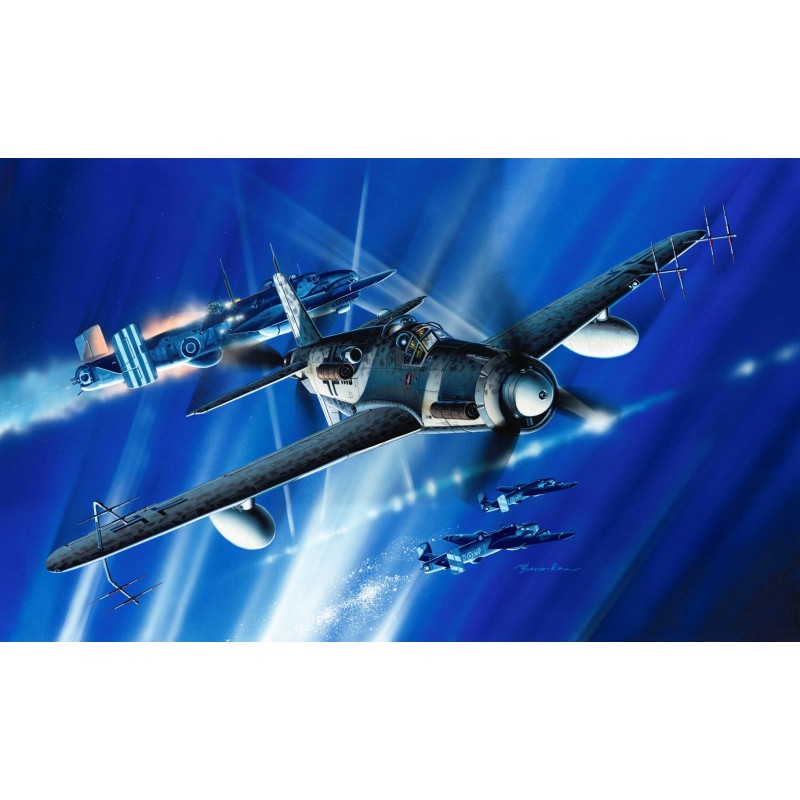 D5010 - Do335B-6 Arrow