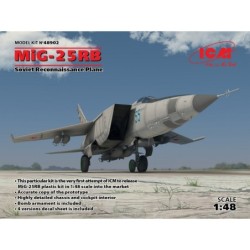 ICM48902 - MiG-25 RB, Soviet Reconnaissance Plane