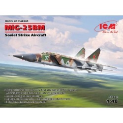 ICM48905 - MiG-25 BM, Soviet Strike Aircraft