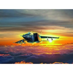 ICM72175 - MiG-25 BM,...