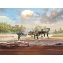 ICMDS4803 - Vietnam USAF...