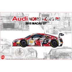 NU24028 - Audi R8 Lms Gt3...