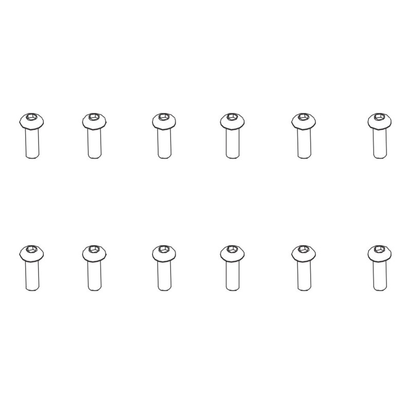 PD502-022 - B head hex screw HM3*10   12pcs