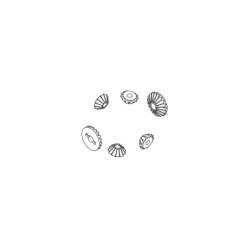 PD861-069 - Center...