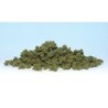 WFC145 - Light Green Bushes (Bag)