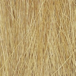 WFG172 - Harvest Gold Field Grass