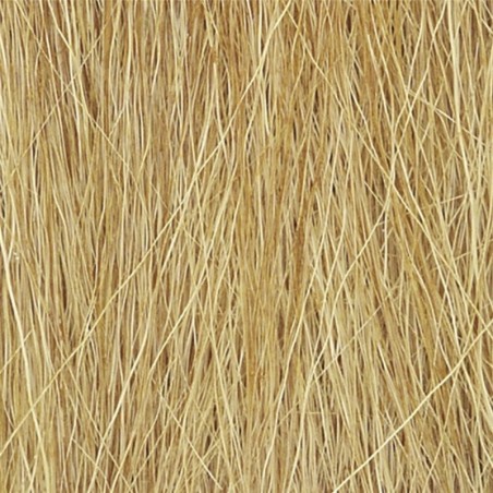 WFG172 - Harvest Gold Field Grass