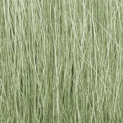 WFG173 - Light Green Field...