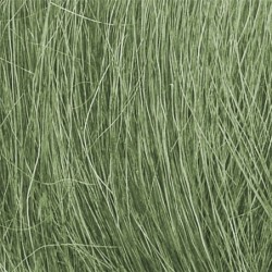 WFG174 - Medium Green Field Grass