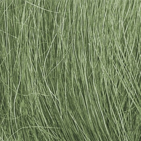 WFG174 - Medium Green Field Grass