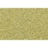 WT1343 - Yellow Grass Fine Turf