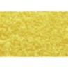 WT1353 - Fall Yellow Coarse Turf