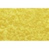 WT1353 - Fall Yellow Coarse Turf