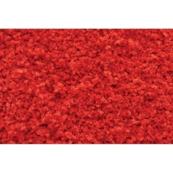 WT1355 - Fall Red Coarse Turf