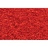 WT1355 - Fall Red Coarse Turf