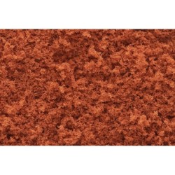 WT1356 - Fall Rust Coarse Turf