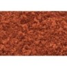 WT1356 - Fall Rust Coarse Turf