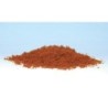 WT1356 - Fall Rust Coarse Turf