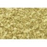 WT1361 - Yellow Grass Coarse Turf