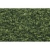 WT1364 - Medium Green Coarse Turf