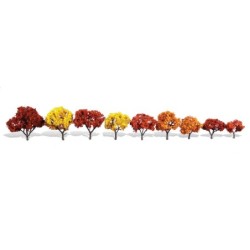 WTR3540 - 1¼"-3" Classic Harvest Blaze (9/Pk)