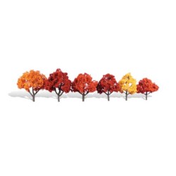 WTR3541 - 3"-5" Classic Harvest Blaze (6/Pk)