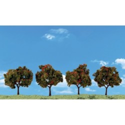 WTR3591 - 2"-3" Classic Apple Trees (4/Pk)