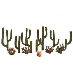 WTR3600 - ½"-2½" Classic Cactus Plants 1(3/Pk)