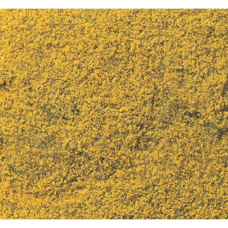 WF176 - Yellow Flowering Foliage