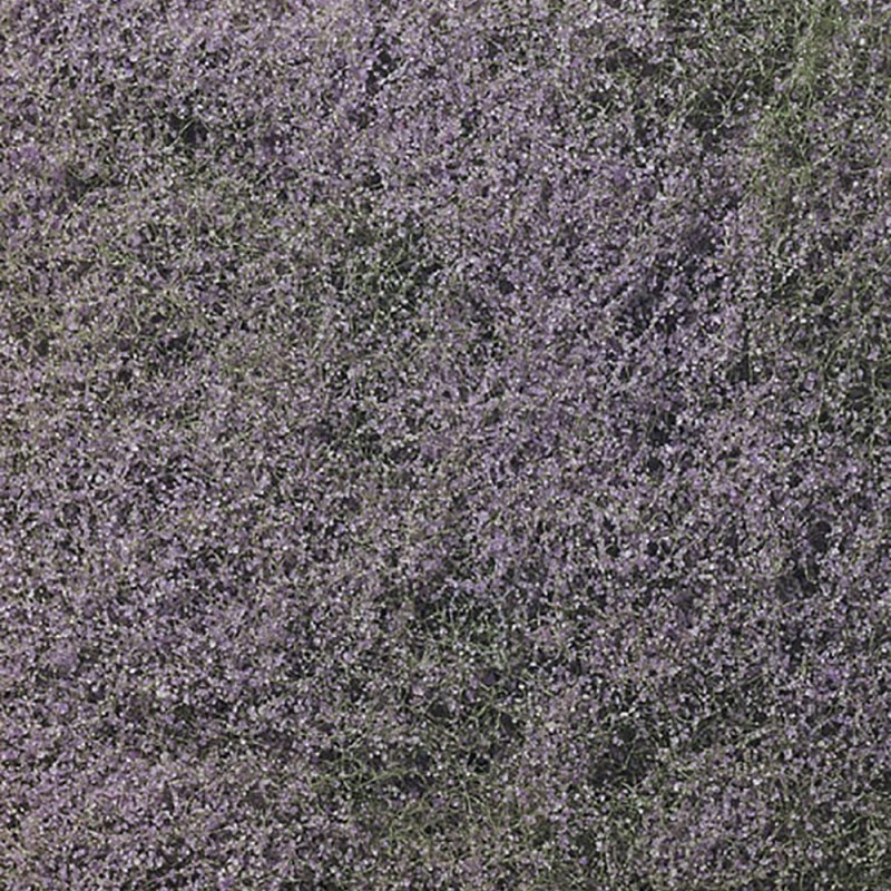 WF177 - Purple Flowering Foliage