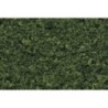 WF52 - Medium Green Foliage