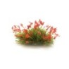 WFS773 - Red Flowering Tufts