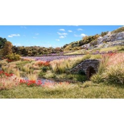 WFS779 - Brown Tipped Prairie Grass