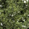 WF1128 - Light Green Shrubs & Saplings