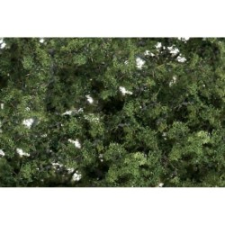 WF1131 - Medium Green Fine Leaf Foliage