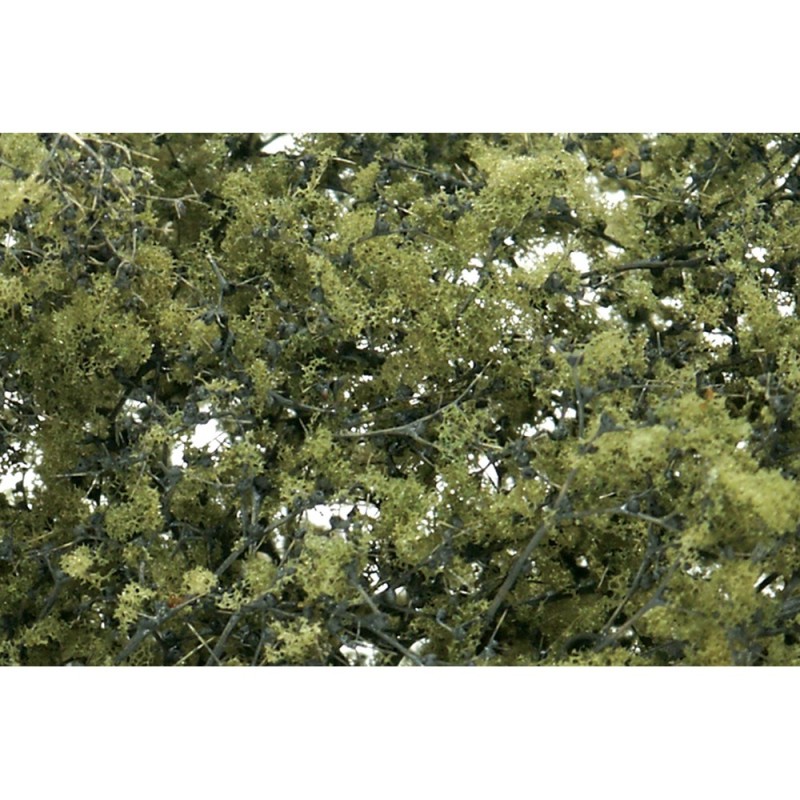 WF1133 - Olive Green Fine Leaf Foliage